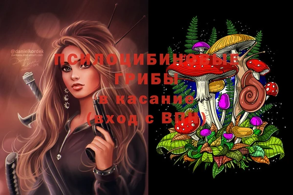 гидра Медногорск