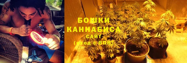 гидра Медногорск