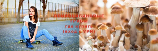не бодяженный Мегион