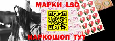 спиды Кингисепп