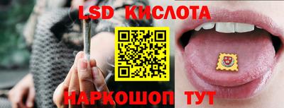 спиды Кингисепп