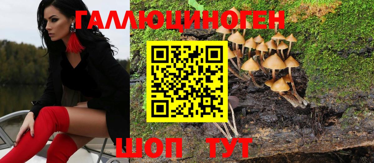 Галлюциногенные грибы Cubensis  хочу   Маркс  Галлюциногенные грибы Magic Shrooms 