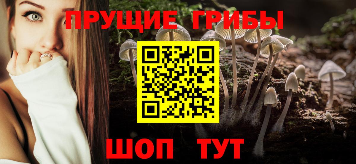 где можно купить   Псилоцибиновые грибы мицелий  Маркс  Вход с VPN  Псилоцибиновые грибы Psilocybe 