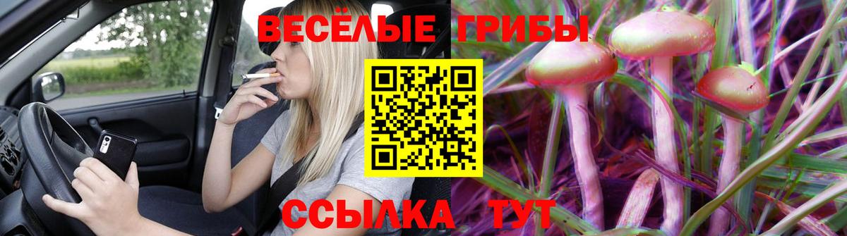 Галлюциногенные грибы Magic Shrooms Маркс