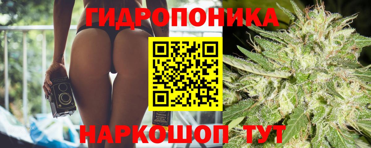 Канабис OG Kush  Бошки Шишки SATIVA & INDICA  Вход с VPN  Конопля SATIVA & INDICA  Маркс 